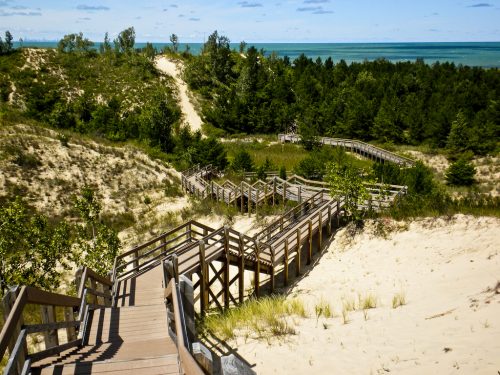 The Succession Trail at Ogden Dunes