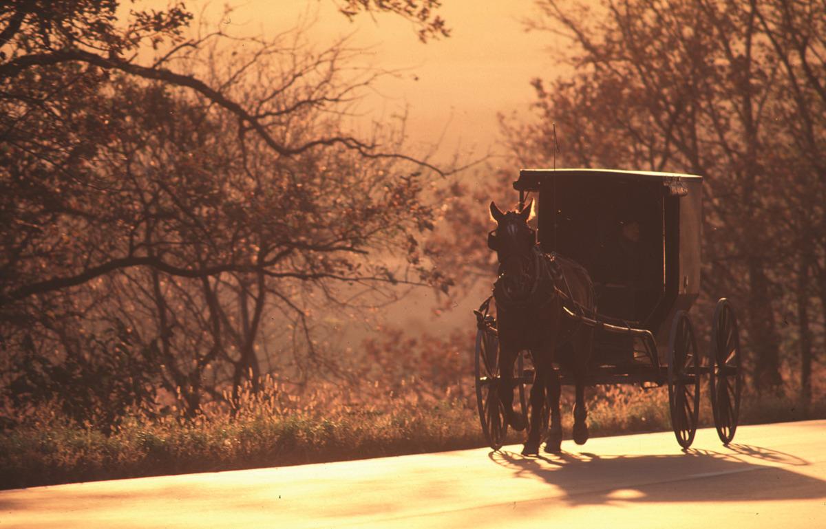 amish-amish-buggy-near-preston-in-se-minnesota amish amish buggy near preston in se minnesota