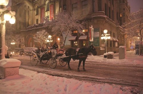 Carriage Ride in Downtown St. Paul