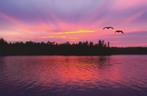 two-birds-flying-over-the-boundary-waters-at-sunset_565713_peter-de-sibour