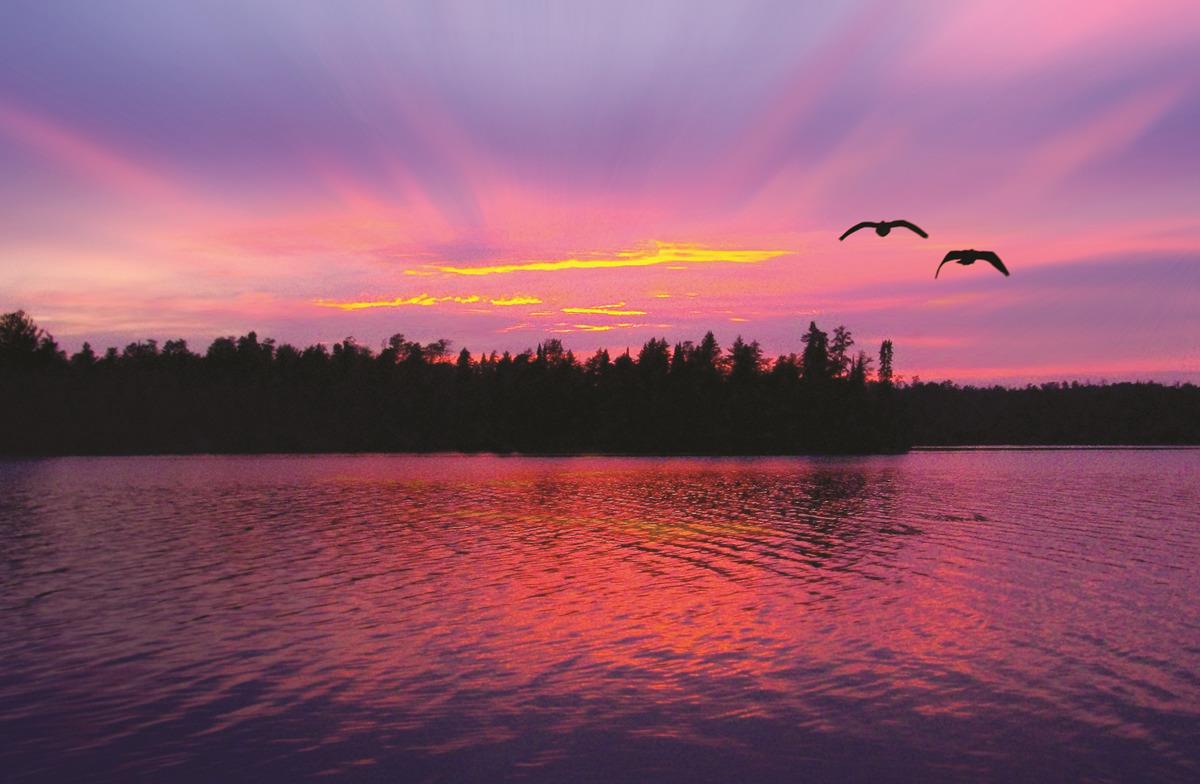 two-birds-flying-over-the-boundary-waters-at-sunset_565713_peter-de-sibour two birds flying over the boundary waters at sunset peter de sibour