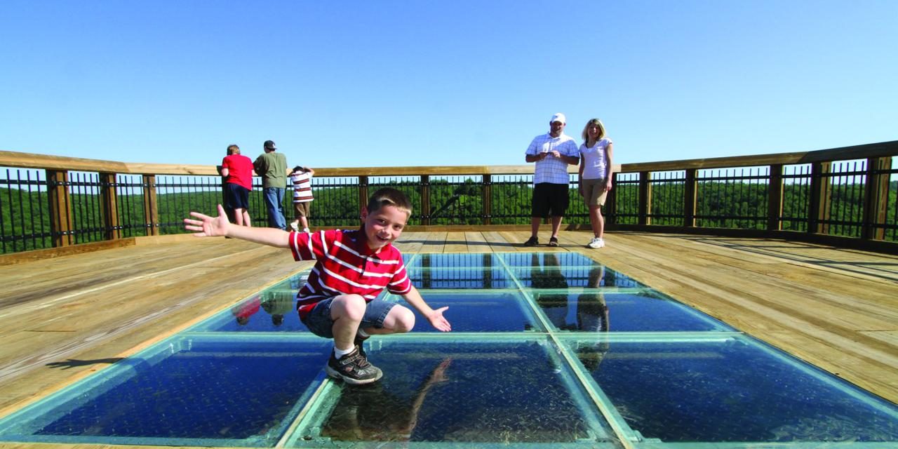 Allegheny National Forest Region Itinerary: Barons, a Baker, a Winemaker & More