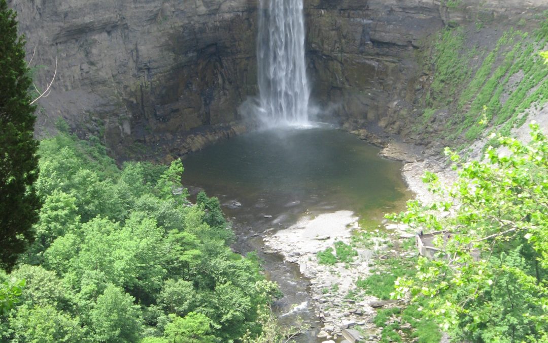 A New York Itinerary: The Ithaca Experience