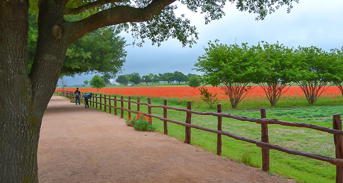 Texas Hospitality and Impressive Attractions Lure Groups to Fredericksburg