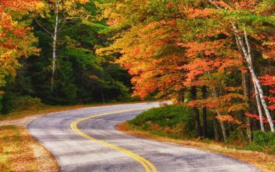 Vibrant Fall Foliage Views in the Northeast