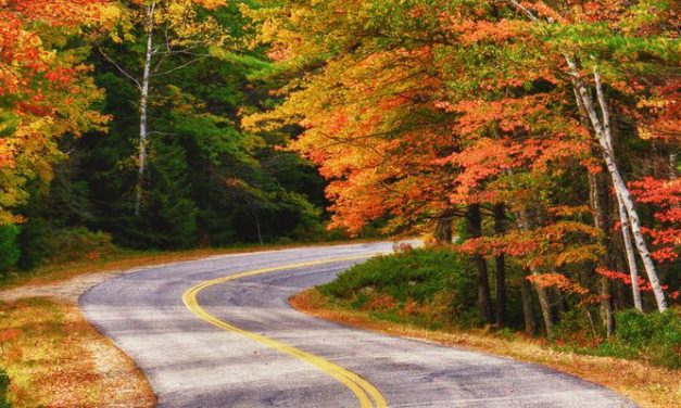 Vibrant Fall Foliage Views in the Northeast