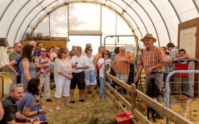 Champaign County Foodie Destinations