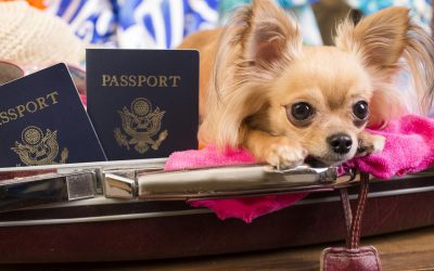 Is Your Tour Planning In A Rut?