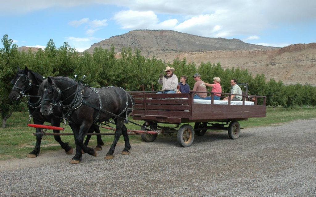 Colorado Agritourism - Horse-Drawn Orchard Tour