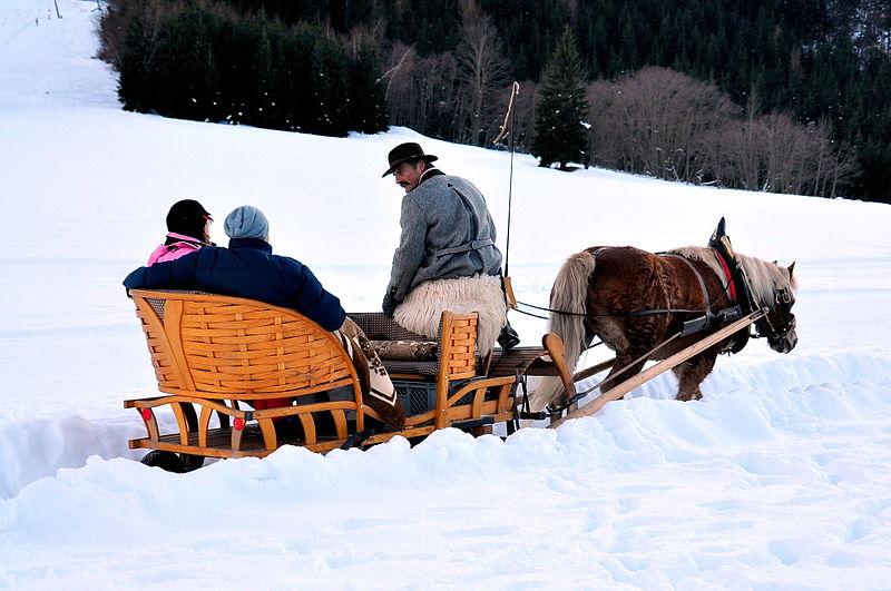 austrian sleigh