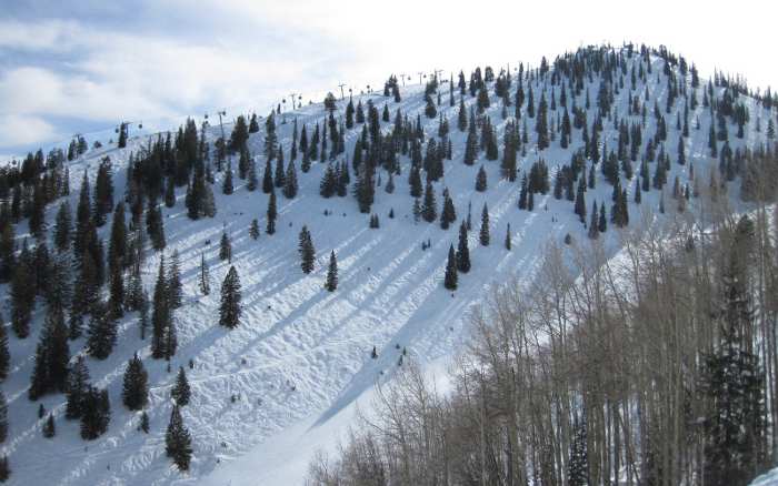 Bell Mountain at Aspen - Mogul Skiing