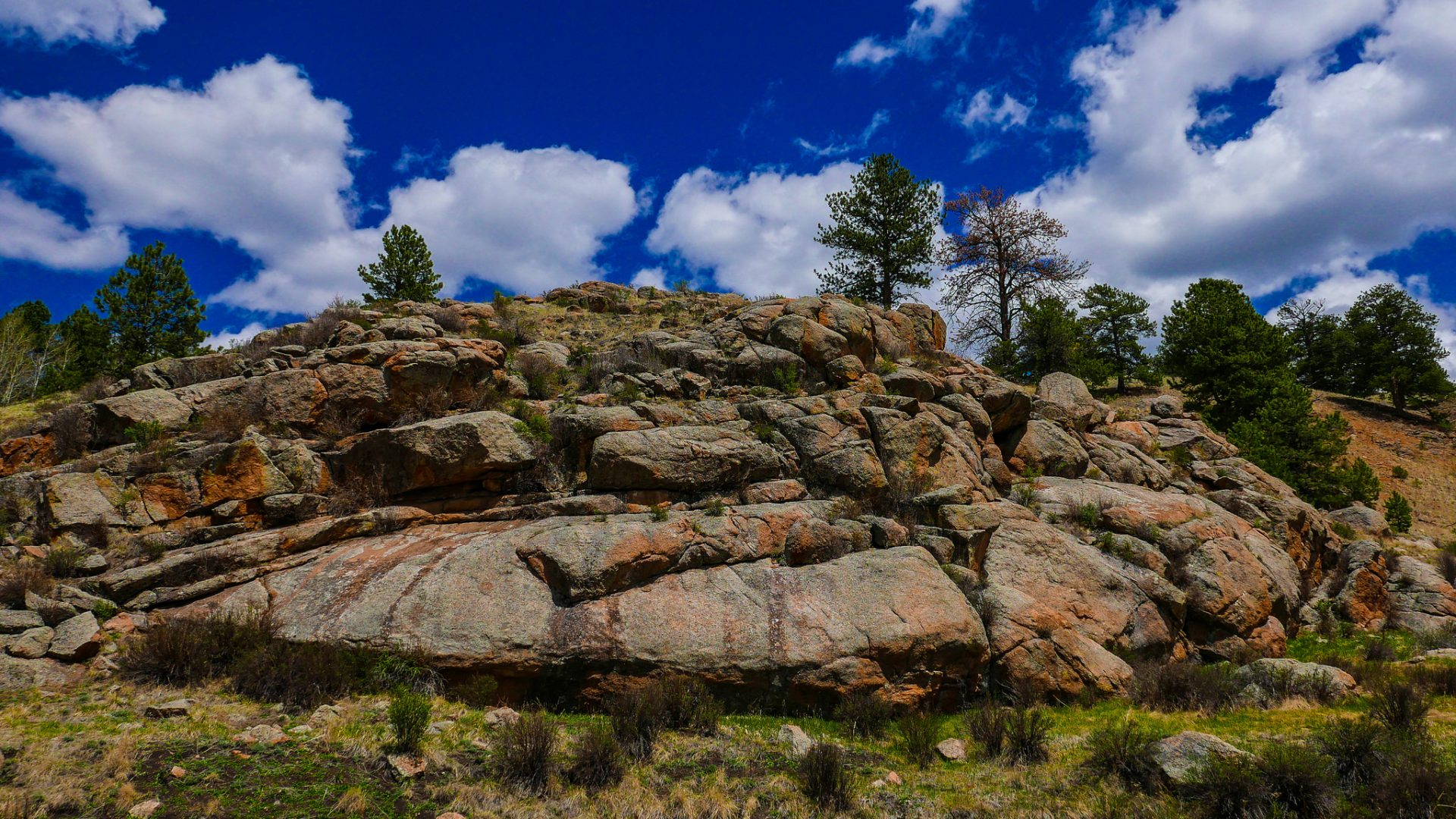 Florissant Fossil Beds National Park, Colorado 