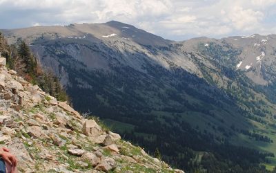 7 Trending U.S. Experiential Tours