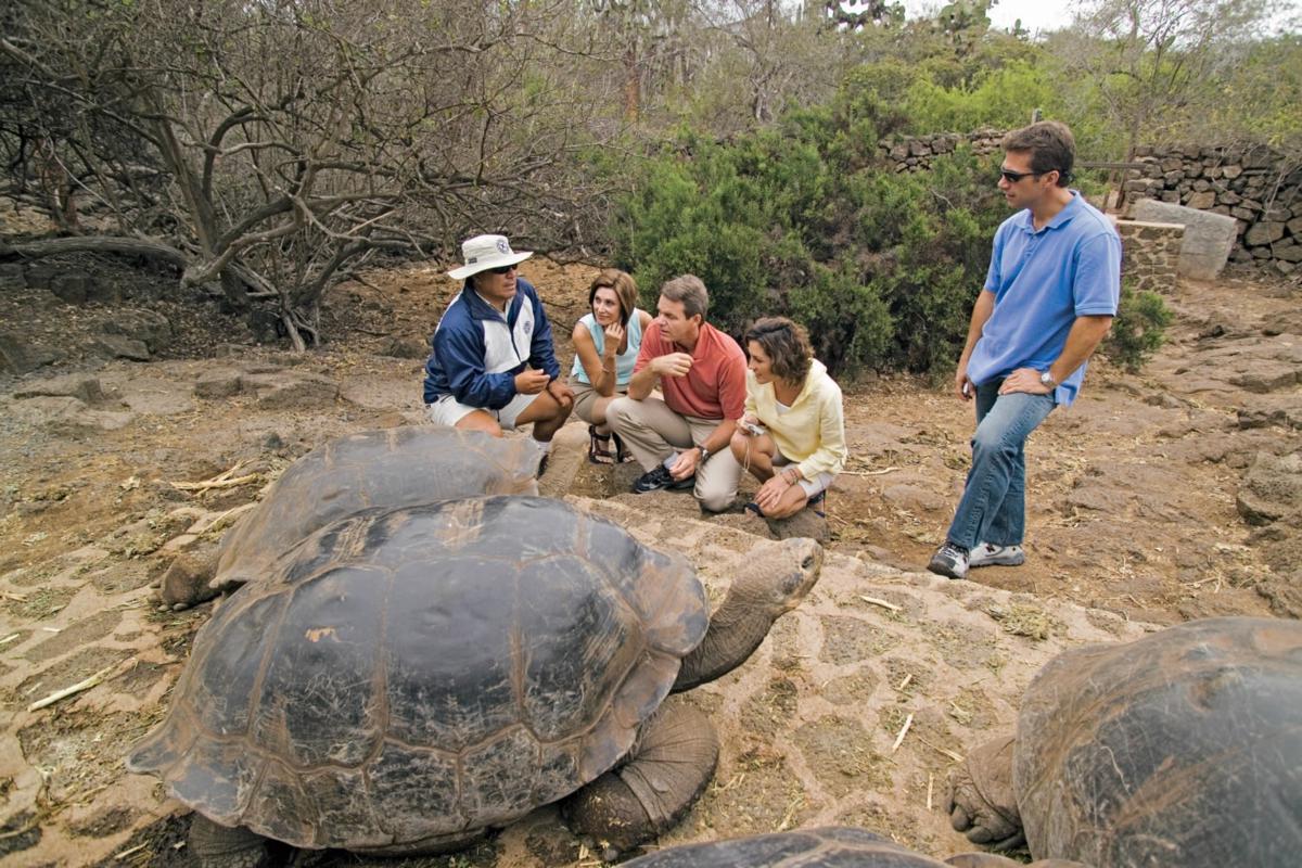 Celebrity Galapagos Tortoise #2_1200x800