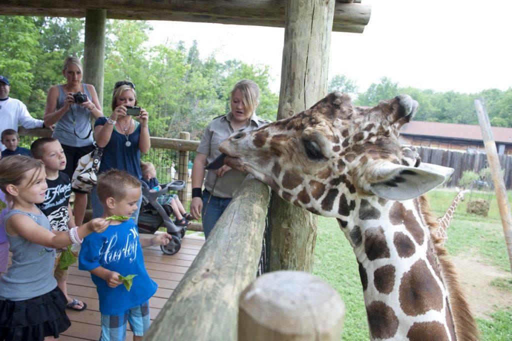 The Indianapolis Zoo