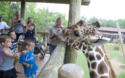 Zoos in Indiana for Incredible Animal Encounters