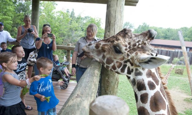 Zoos in Indiana for Incredible Animal Encounters