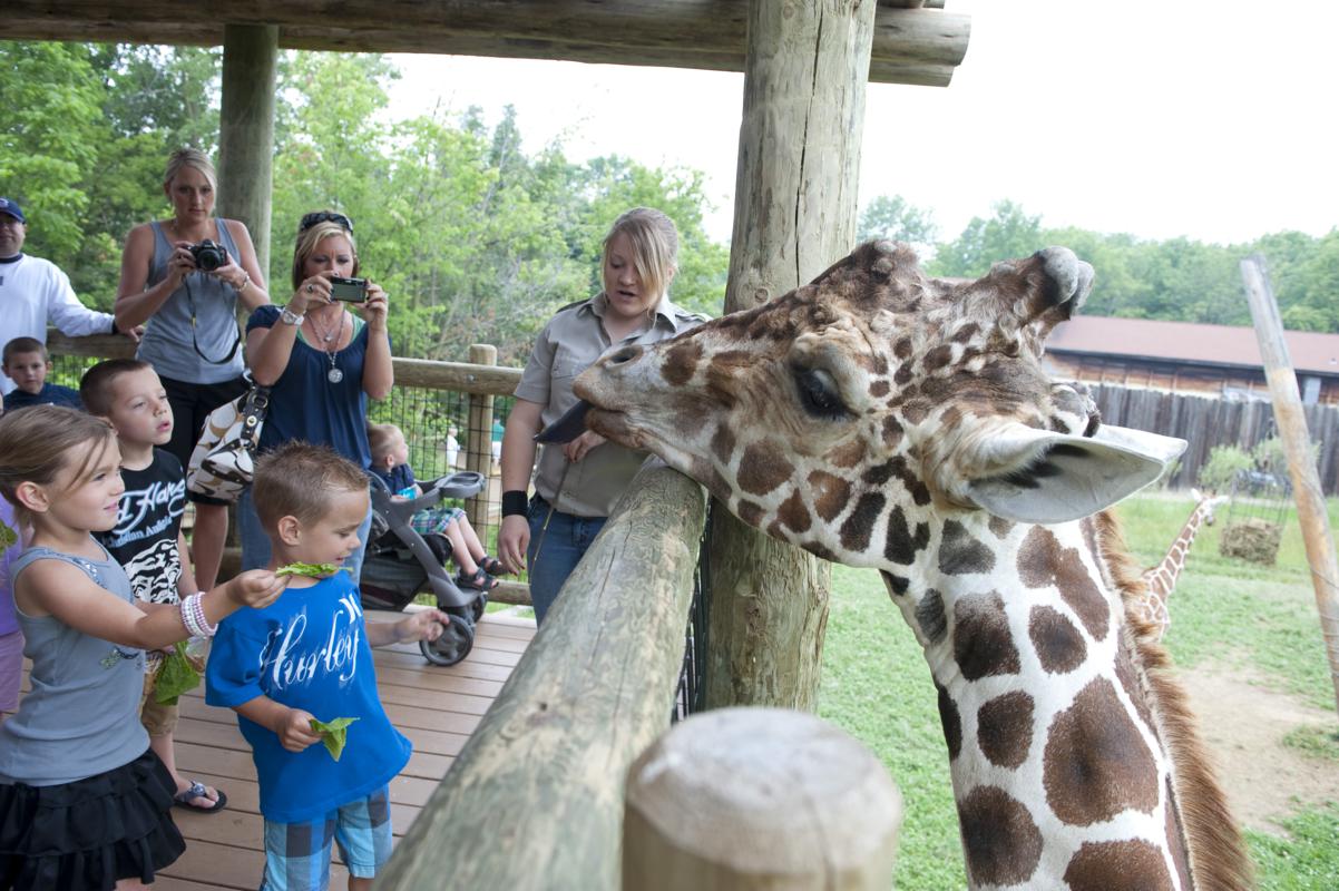 The Indianapolis Zoo is one of the most famous zoos in Indiana