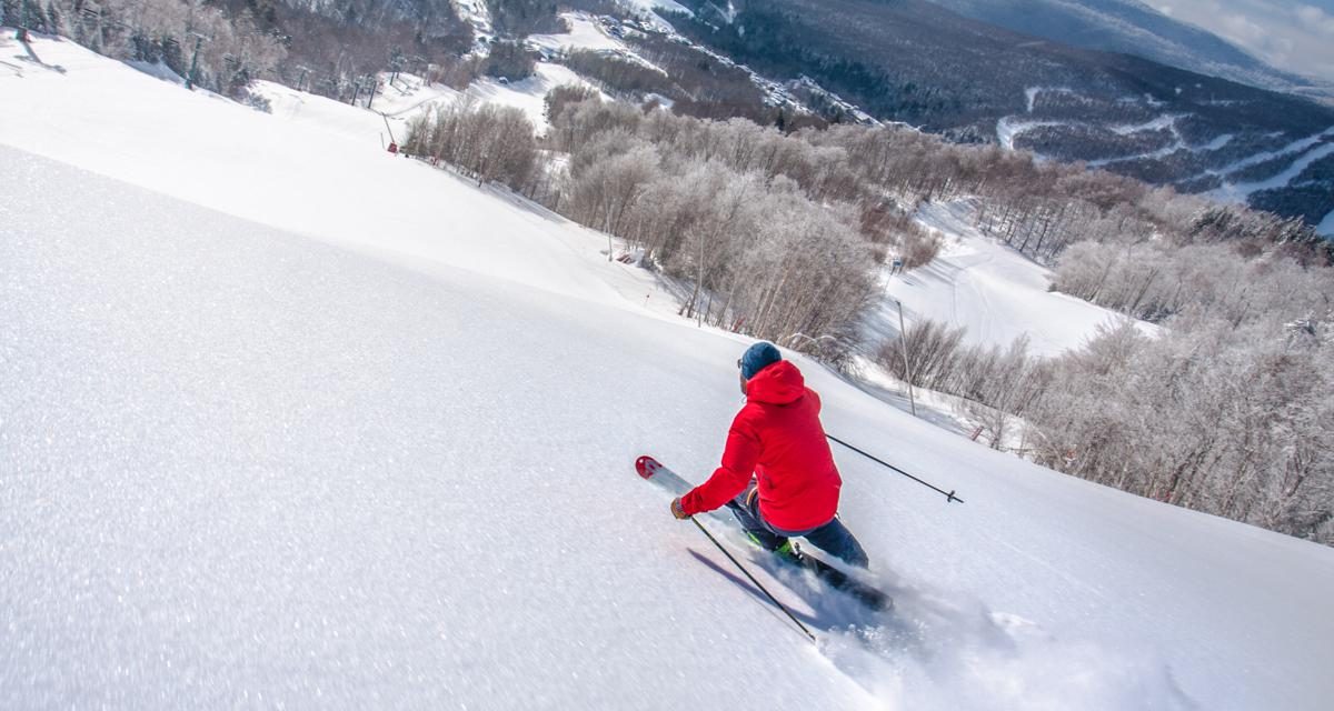Group Ski Resorts: the Beasts of the East