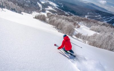 Group Ski Resorts: the Beasts of the East
