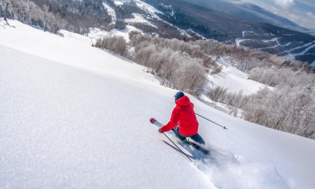 Group Ski Resorts: the Beasts of the East