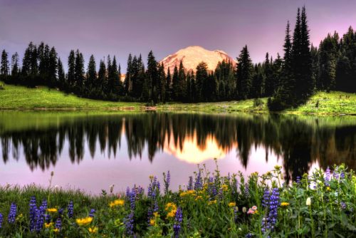 Summer Sunrise at Reflection Lake 300DPI Courtesy Deby Dixon_1196x800