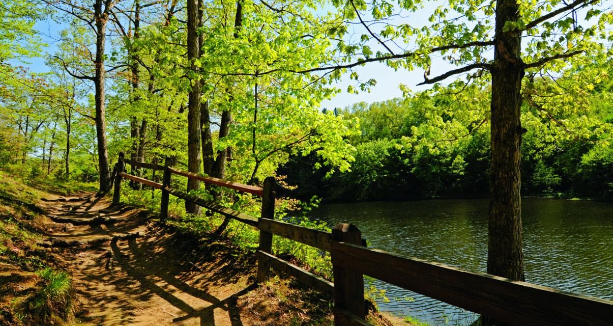 Explore These Indiana State Parks on Your Next Group Trip