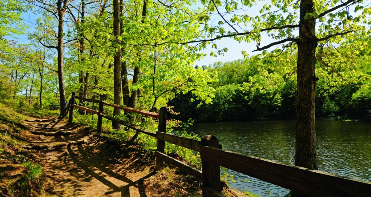 Indiana State Parks for Groups to Explore