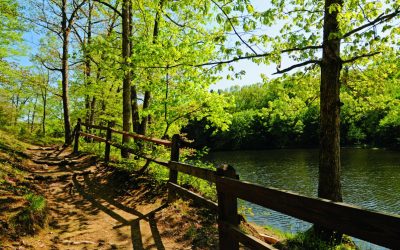 Indiana State Parks for Groups to Explore