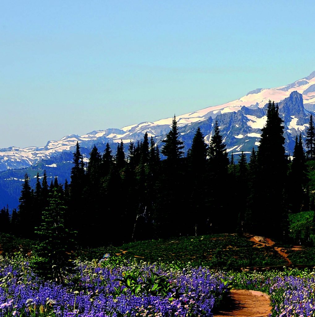 washington state