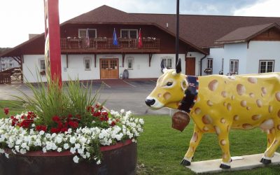 Cherries and Cheese: Culinary Adventures