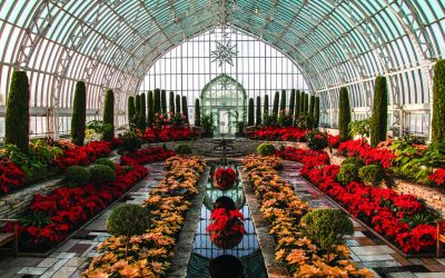 A Bounty of Exquisite Botanical Gardens