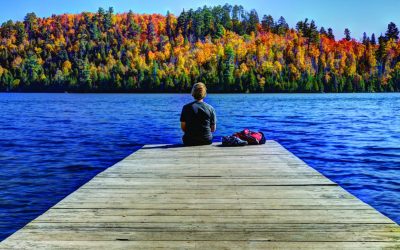 Leaf-Peeping—Minnesota’s Favorite Spectator Sport