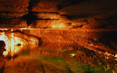 Subterranean Splendor