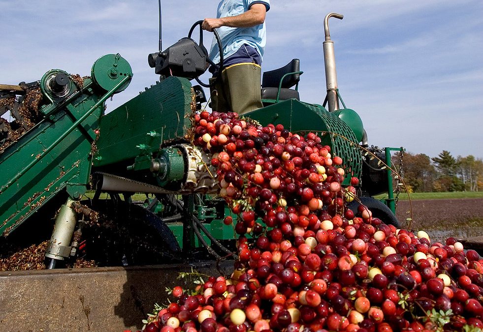 Wisconsin Itinerary: Lighten Your Load on the Great River Road