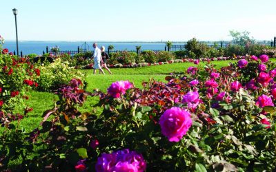 Gardens Around the State