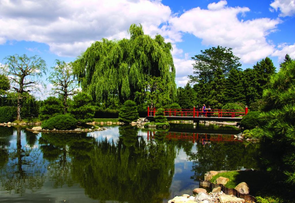 Japanese Garden