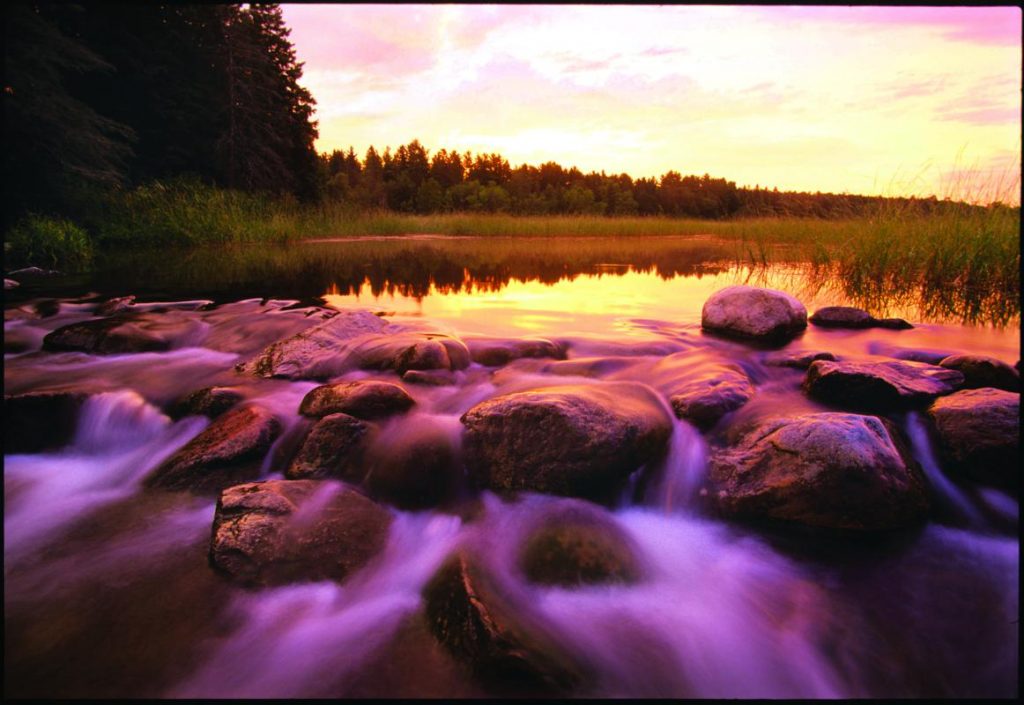 Lake Itasca 