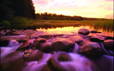 It Begins With a Trickle