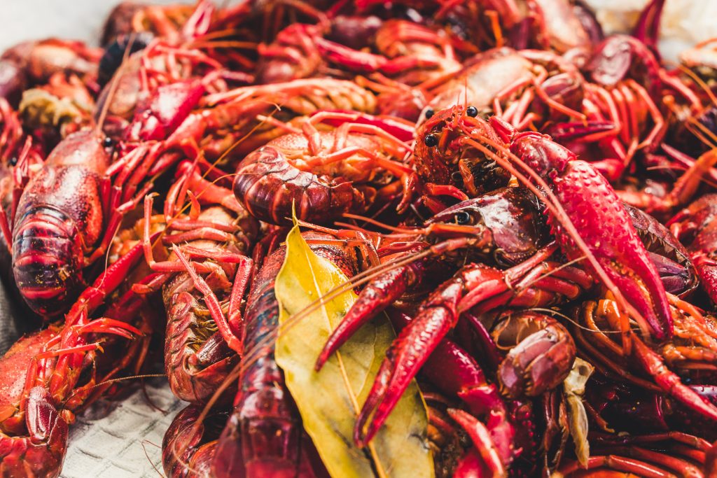 Louisiana Seafood Festival