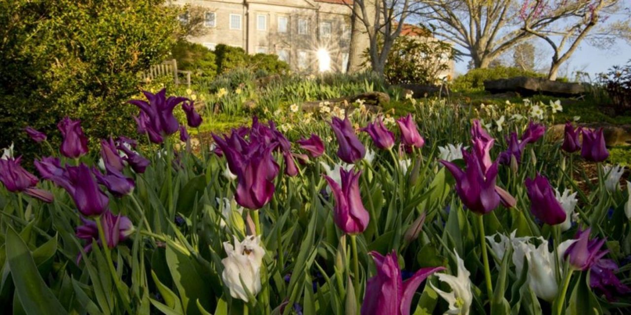 Be Enchanted By Cheekwood Estate & Gardens