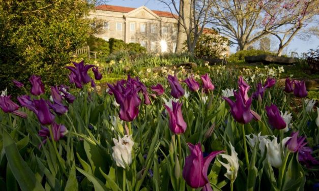 Be Enchanted By Cheekwood Estate & Gardens