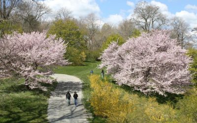 Massachusetts Gardens Showcase New England’s Beauty