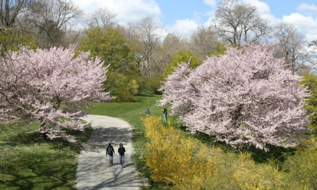 Massachusetts Gardens Showcase New England’s Beauty