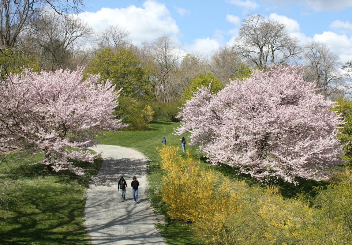 Massachusetts Gardens Showcase New England's Beauty