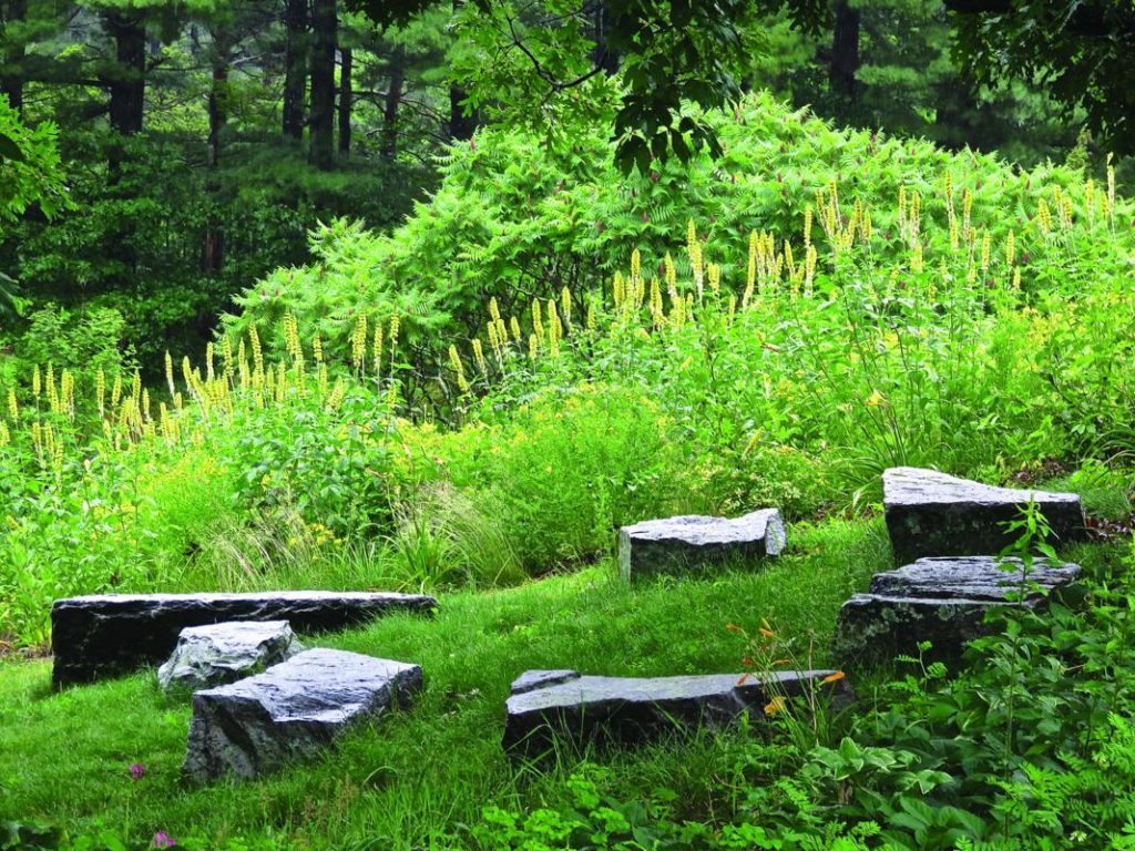 Wellesley College Botanic Gardens Massachusetts gardens