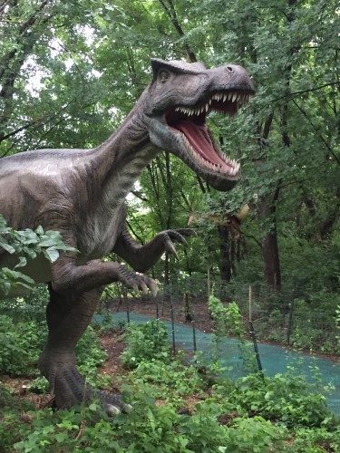 Field Station Dinosaurs