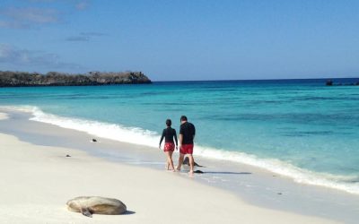The Galapagos Islands Are an Equatorial Eden