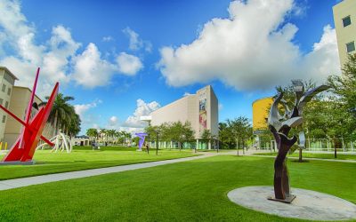 Discovering the Greater Miami Art Vibe