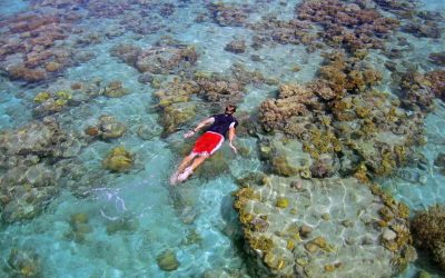 All Around the World in Four Incredible Collette Tours